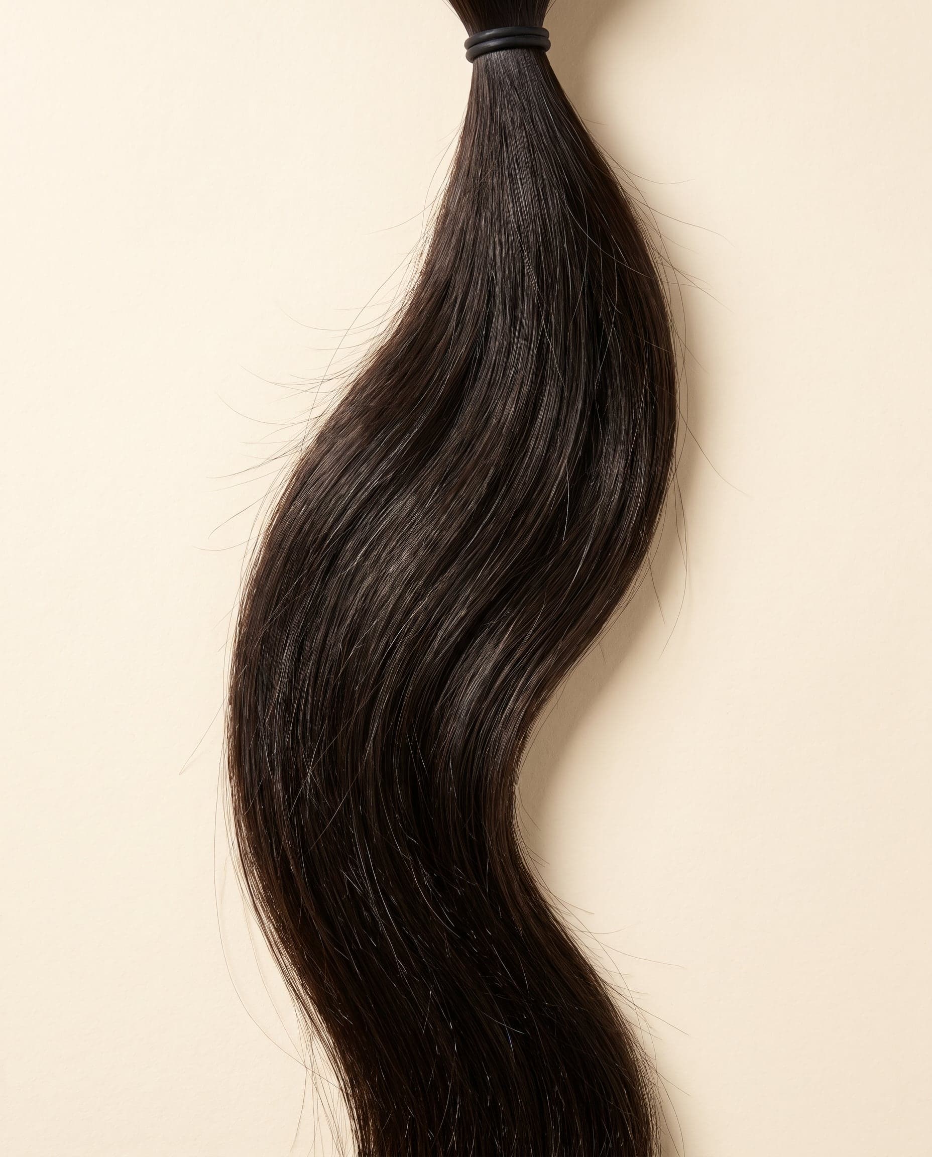 Human hair bundle in color Natural laid flat on a warm ivory background