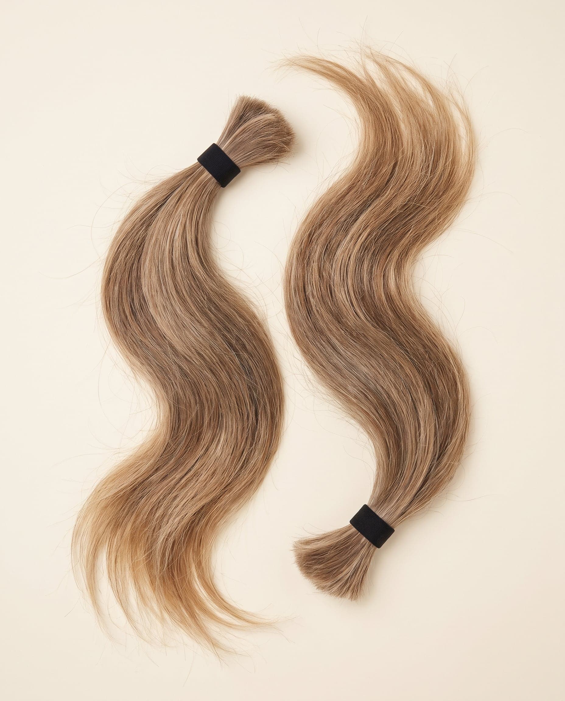 Premium grade bundle in beige blonde laid in an elegant curve on a warm ivory surface